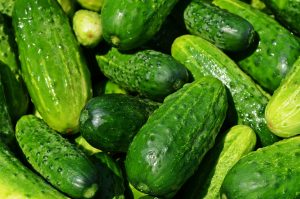 What Are Cucumbers