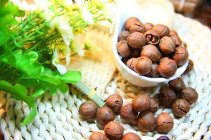Do Dogs Safely Eat Pecans