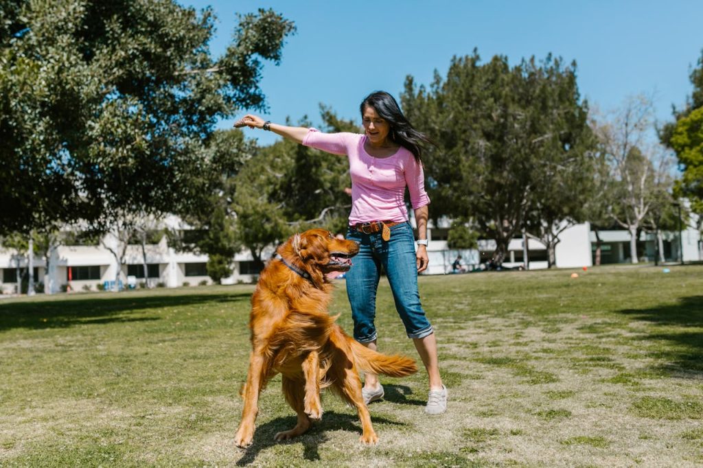Breed of Dog